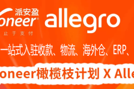 波兰Allegro电商平台,Allegro卖家常见问题，如何入驻？
