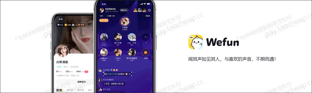Wefun打赏如何绑定Payoneer提现？完整流程 + 注意事项 Payoneer教程 第1张